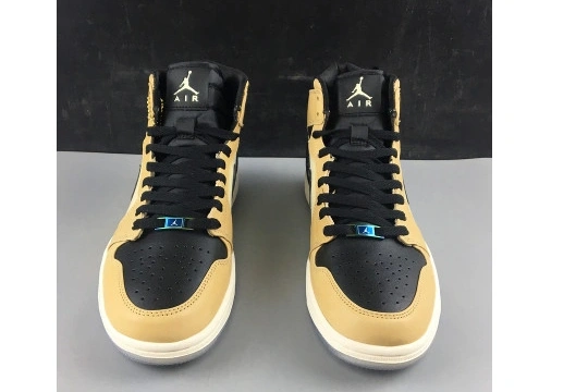 Fossil Air Premium WMNS 1 Jordan AH7389-003 Mushroom AH7389-003 High 0224